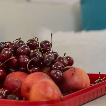 Naxos Euphoria * סטלידה