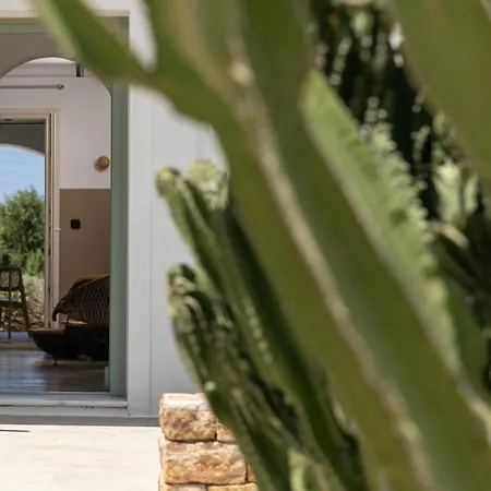 Apartamento Naxos Euphoria *