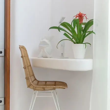 Naxos Euphoria Stelida (Naxos)