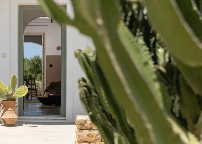 Apartment Naxos Euphoria *