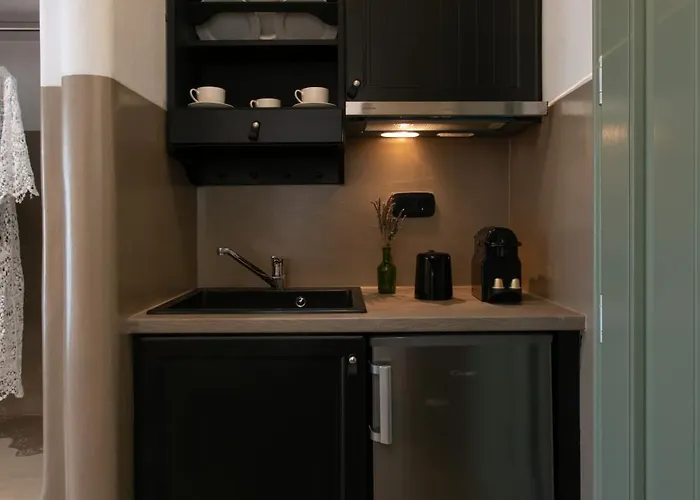 Apartment Naxos Euphoria Stelida (Naxos)