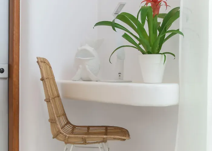 Naxos Euphoria Stelida (Naxos)